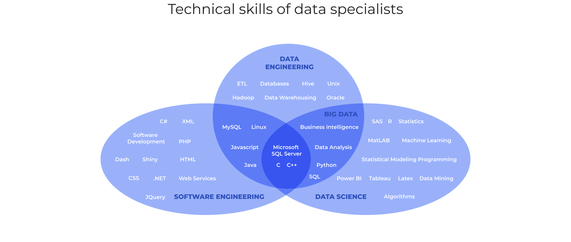 Technical skills of data specialists