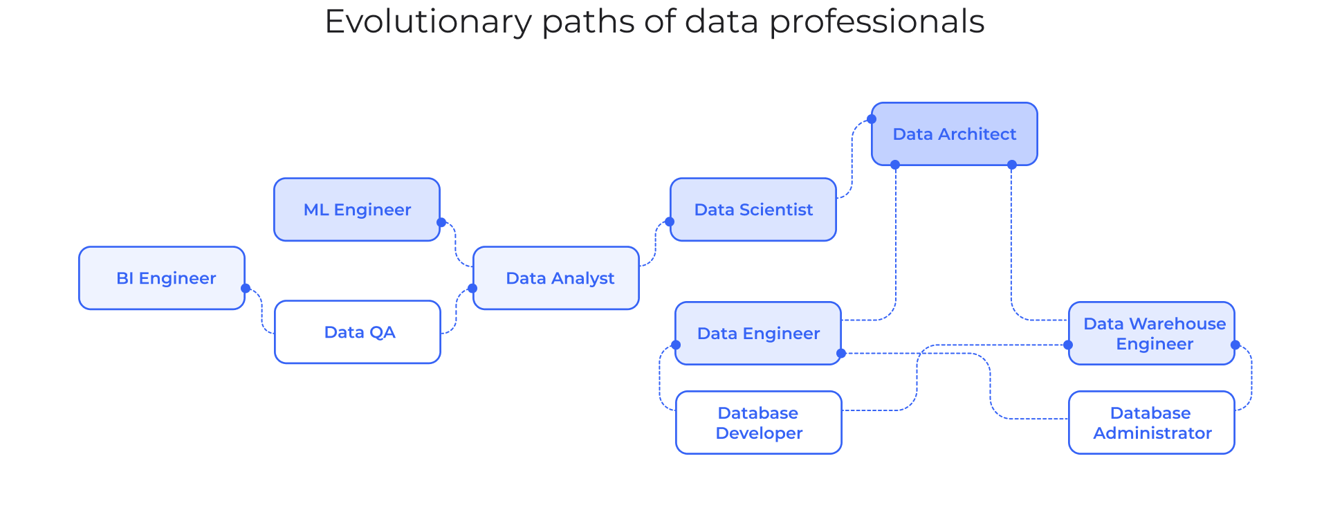 Evolutionary paths of data professionals